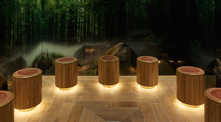 forest themed experience room with small tree stub appearing seats