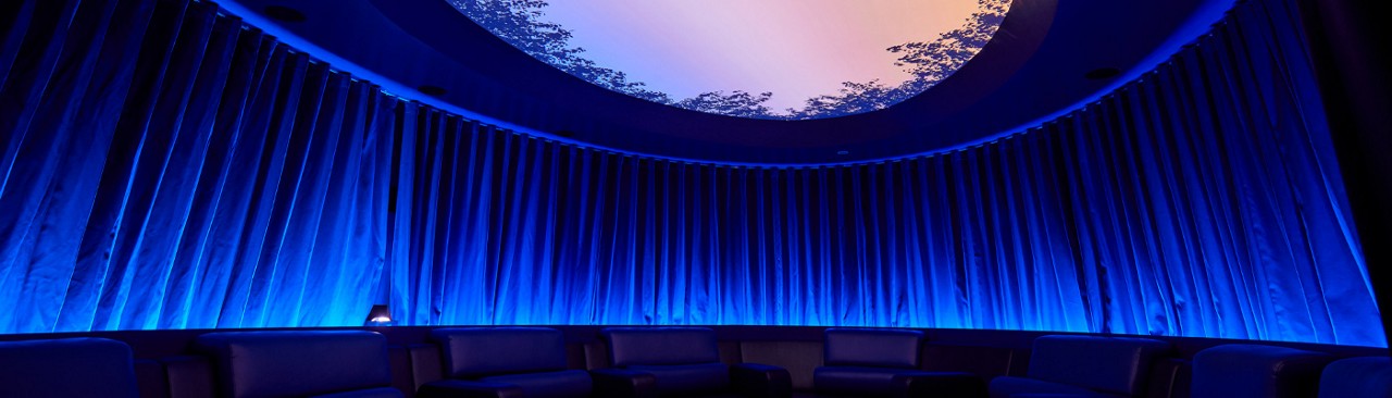 Oval room with comfortable chairs and a glass dome on the ceiling to observe the sky lined with tree branches.