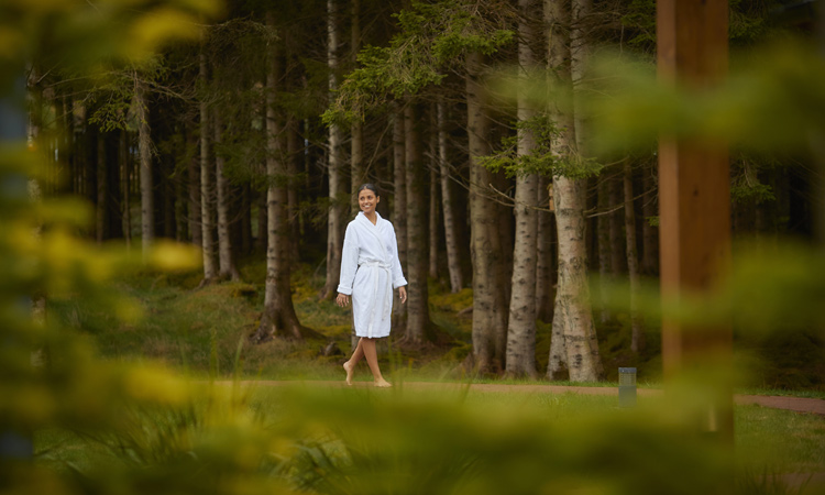 women walking through the tree's
