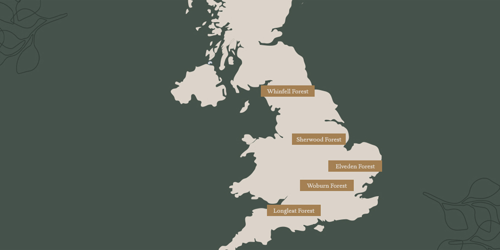 Map of the UK showing the locations of the Aqua Sana Forest Spas. Reading from North to South: Whinfell Forest, Sherwood Forest, Elveden Forest, Woburn Forest and Longleat Forest.
