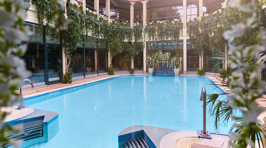 Outdoor courtyard pool with lots of hanging plants.