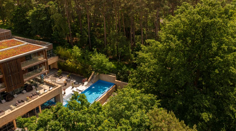 Outdoor pool surrounded by the vast forest.