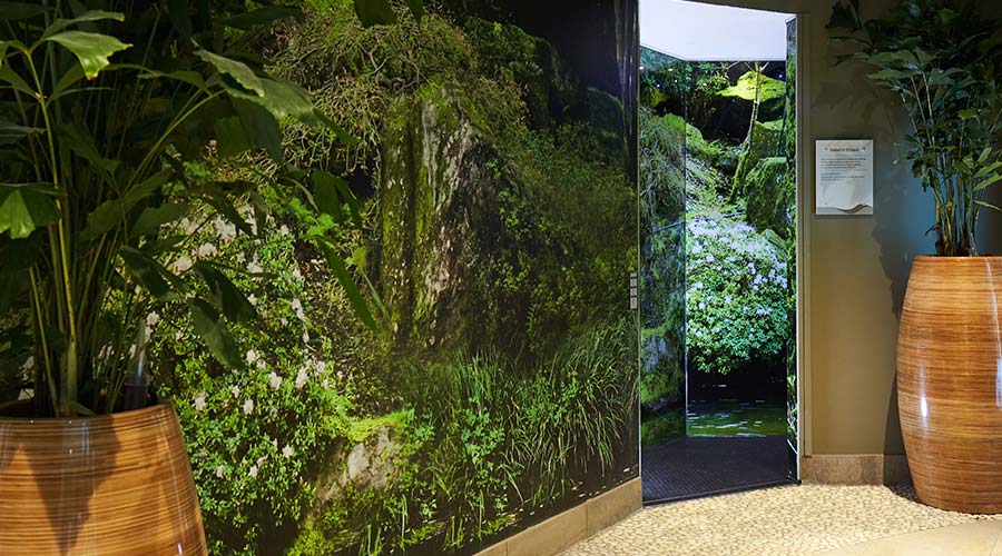 shower with forest theme