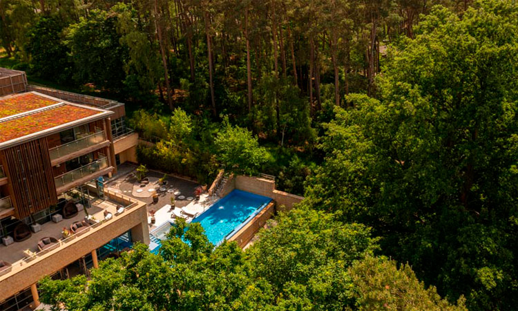 Outdoor Pool nestled on the edge of the forest.
