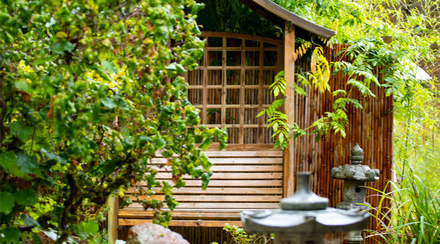 outdoor garden area with wooden bench