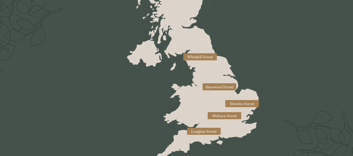 A map view of the UK with our five forest spa locations. 
